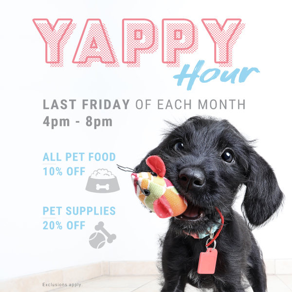 Example of PET DEPOT store hero advertisement